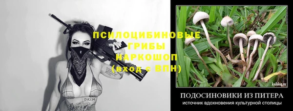 круглые Алексеевка
