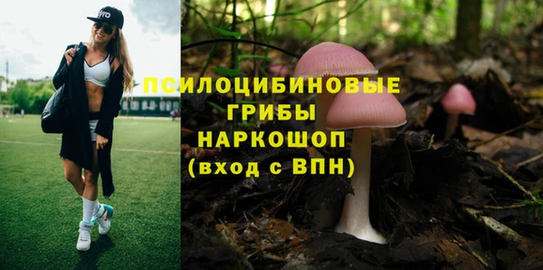 стафф Алзамай