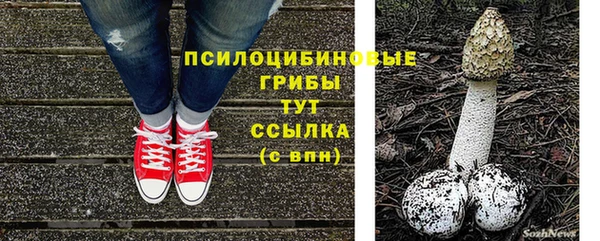 круглые Алексеевка