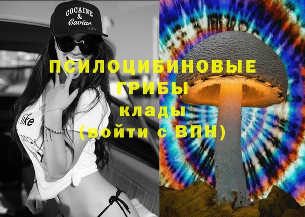 стафф Алзамай