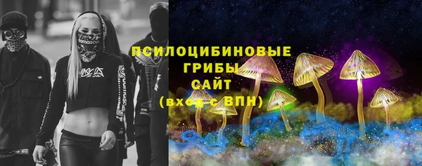 стафф Алзамай