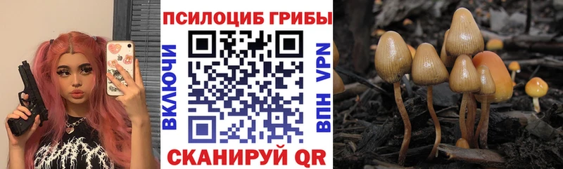 Псилоцибиновые грибы ЛСД  Бежецк 